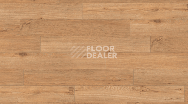 Кварцвиниловые полы Gerflor Creation 70 0545 Serena фото 1 | FLOORDEALER